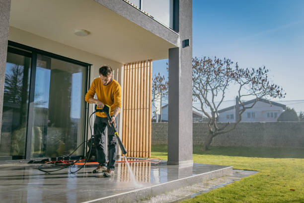 Best House Exterior Washing  in Elton, LA