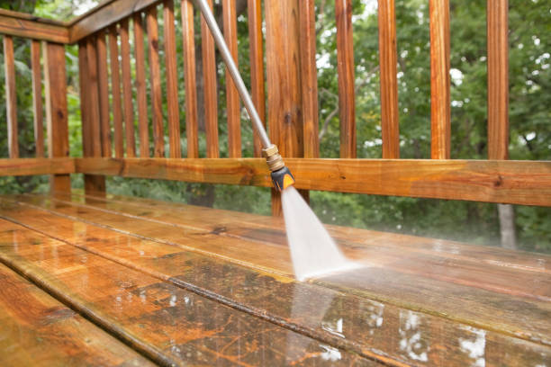 Best Building Exterior Washing  in Elton, LA